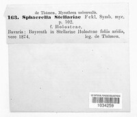 Image Associated With the Occurence